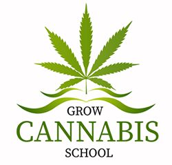 Marijuana Edibles Course