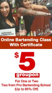 online-bartending-course